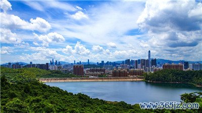 满足需求，引领潮流——深圳高端伴游经纪预约行业
